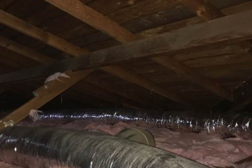 Insulation installation and removel in los angeles (2)