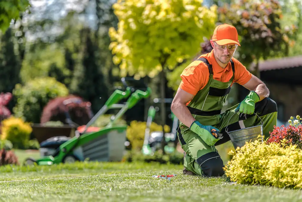 Landscaping